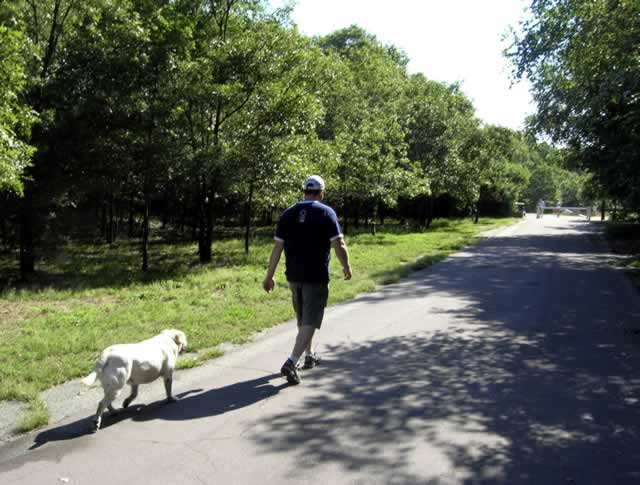 Heading Home on Bare Cove Path